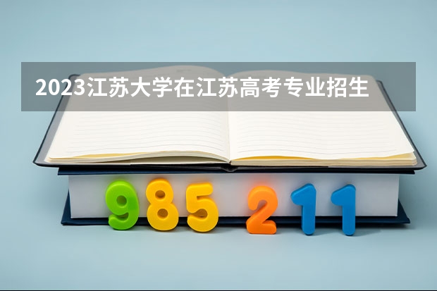 2023江苏大学在江苏高考专业招生计划人数