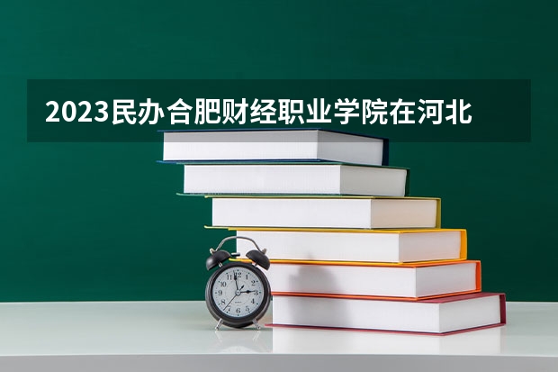 2023民办合肥财经职业学院在河北高考专业招生计划人数