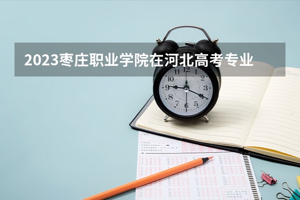 2023枣庄职业学院在河北高考专业招生计划人数