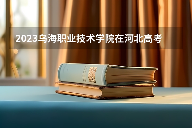 2023乌海职业技术学院在河北高考专业招生计划人数