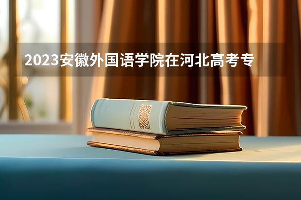 2023安徽外国语学院在河北高考专业招生计划人数