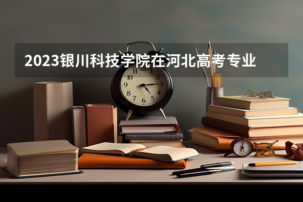 2023银川科技学院在河北高考专业招生计划人数