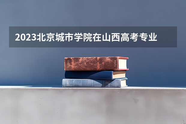 2023北京城市学院在山西高考专业招生计划人数