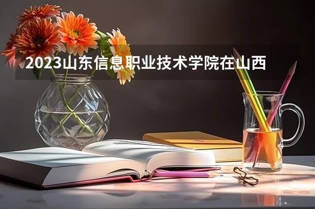 2023山东信息职业技术学院在山西高考专业招生计划人数