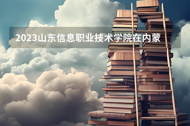 2023山东信息职业技术学院在内蒙古高考专业招生计划人数