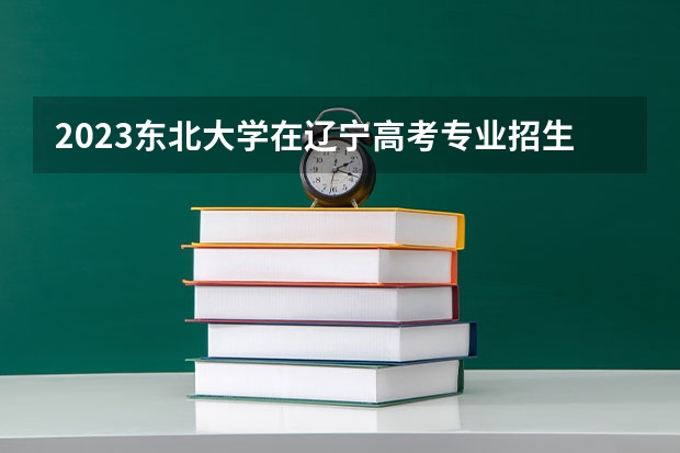 2023东北大学在辽宁高考专业招生计划人数