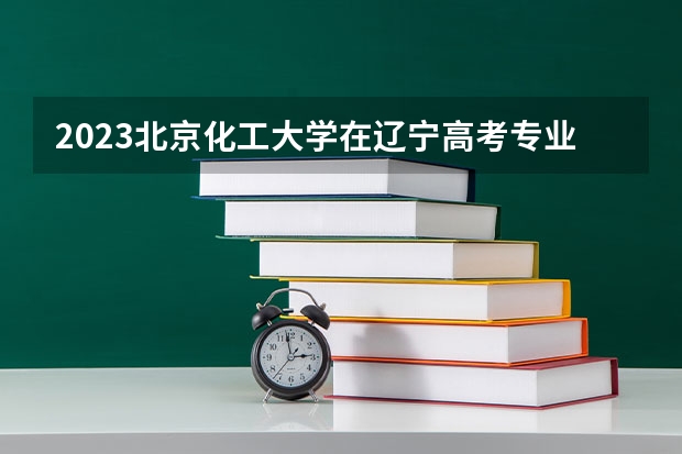 2023北京化工大学在辽宁高考专业招生计划人数