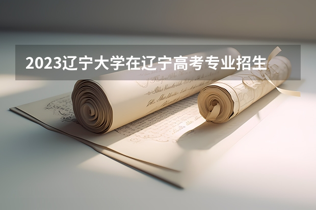 2023辽宁大学在辽宁高考专业招生计划人数