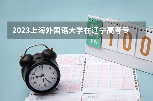 2023上海外国语大学在辽宁高考专业招生计划人数