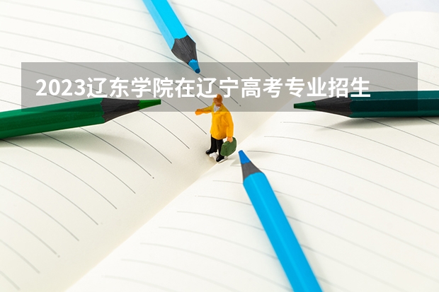 2023辽东学院在辽宁高考专业招生计划人数