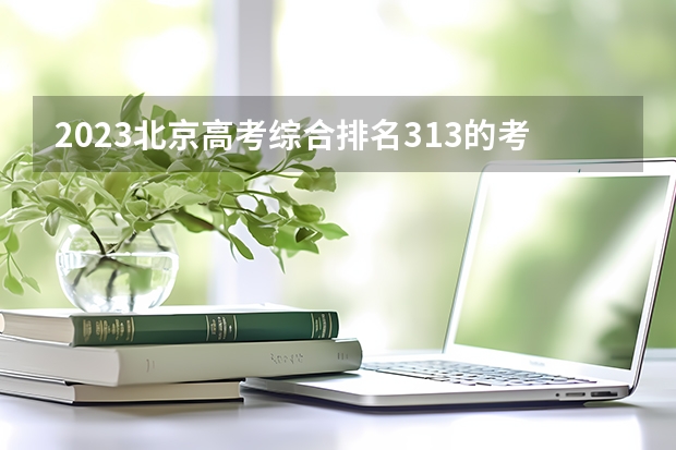 2023北京高考综合排名313的考生报什么大学(2024分数线预测)