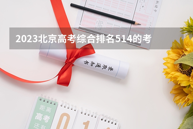 2023北京高考综合排名514的考生报什么大学(2024分数线预测)