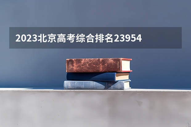 2023北京高考综合排名23954的考生报什么大学(2024分数线预测)