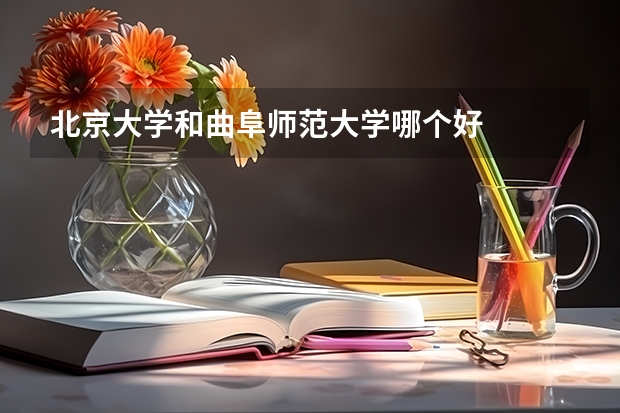 北京大学和曲阜师范大学哪个好