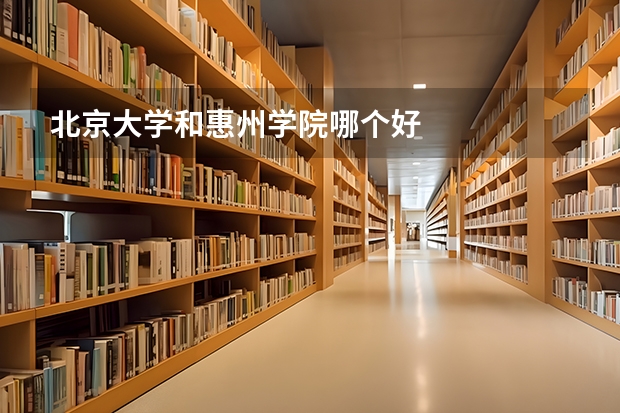 北京大学和惠州学院哪个好