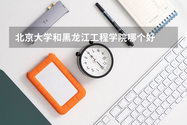 北京大学和黑龙江工程学院哪个好