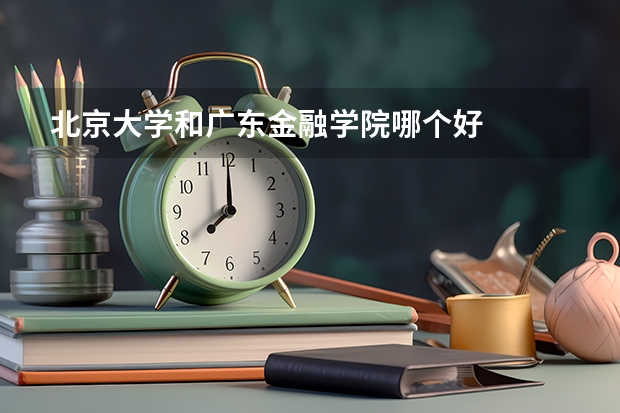 北京大学和广东金融学院哪个好