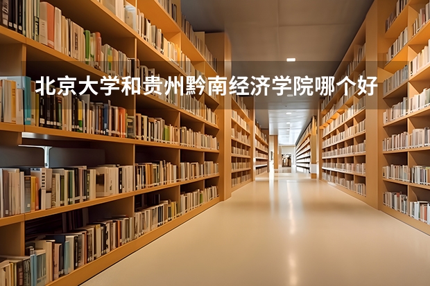 北京大学和贵州黔南经济学院哪个好