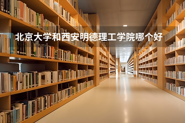 北京大学和西安明德理工学院哪个好