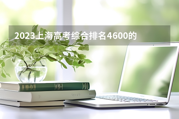 2023上海高考综合排名4600的考生报什么大学(2024分数线预测)