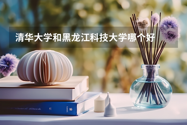 清华大学和黑龙江科技大学哪个好