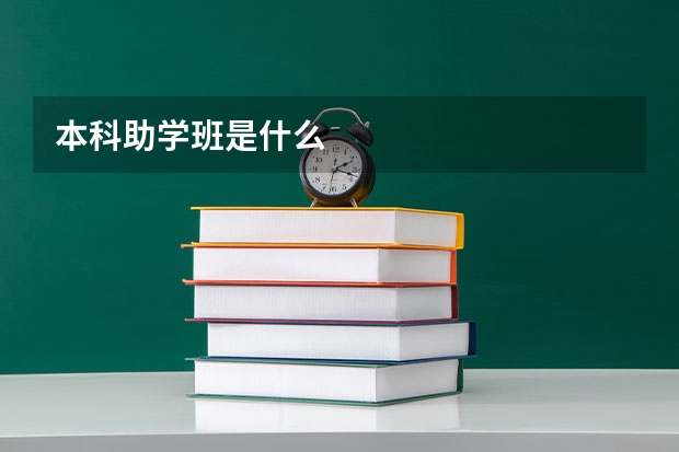 本科助学班是什么