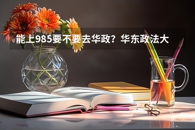 能上985要不要去华政？华东政法大学什么档次？