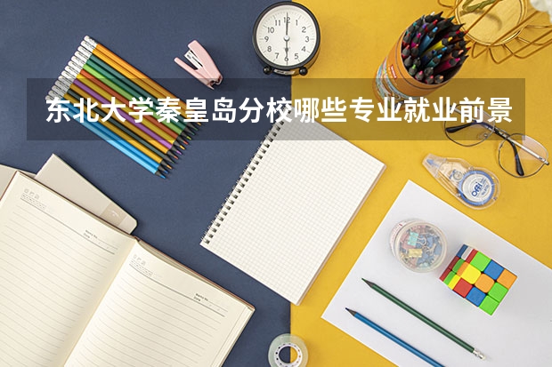 东北大学秦皇岛分校哪些专业就业前景好？