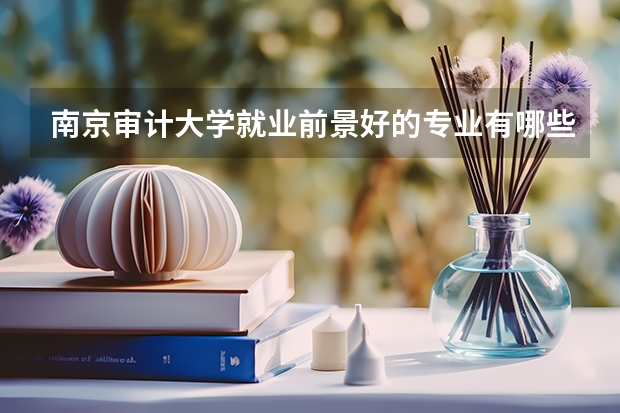 南京审计大学就业前景好的专业有哪些？