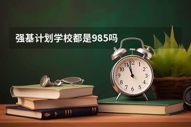 强基计划学校都是985吗