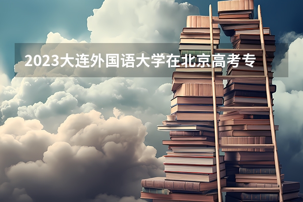 2023大连外国语大学在北京高考专业招生计划人数