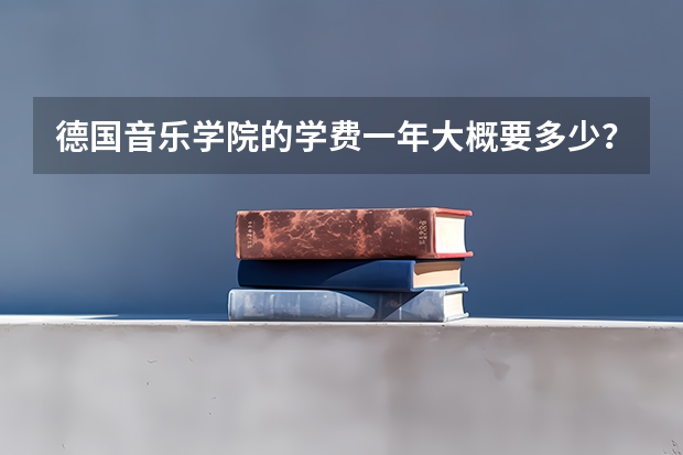 德国音乐学院的学费一年大概要多少？