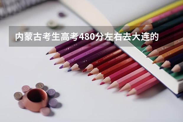 内蒙古考生高考480分左右去大连的二本学校哪个学校的什么专业比较好呢