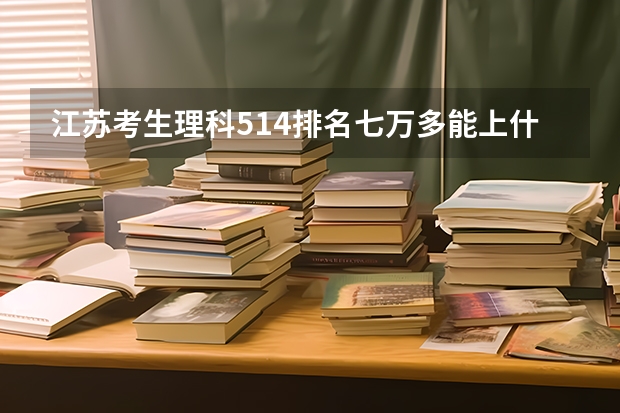 江苏考生理科514排名七万多能上什么一本大学?