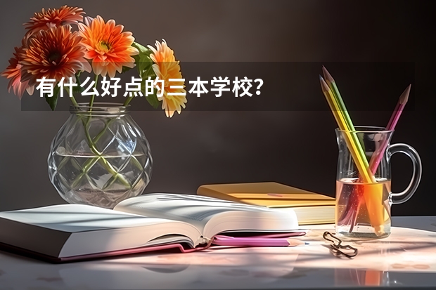 有什么好点的三本学校？