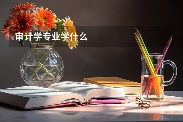 审计学专业学什么