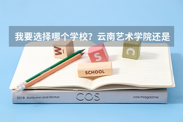 我要选择哪个学校？云南艺术学院还是云南民族大学？