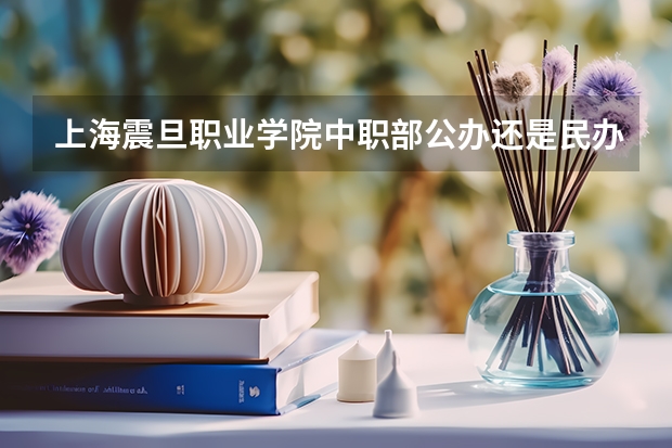 上海震旦职业学院中职部公办还是民办学费一年多少