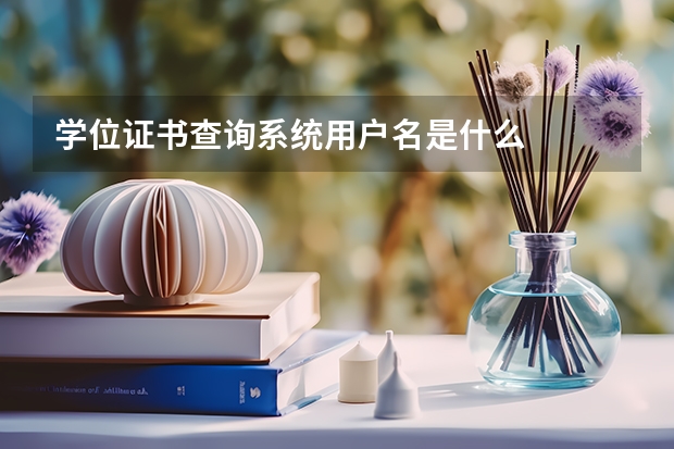 学位证书查询系统用户名是什么