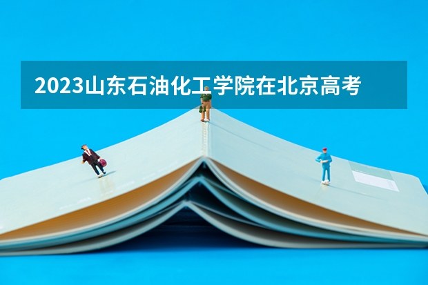 2023山东石油化工学院在北京高考专业招生计划人数