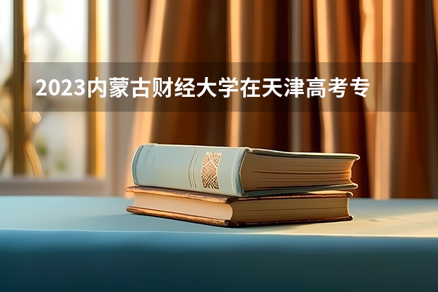 2023内蒙古财经大学在天津高考专业招生计划人数