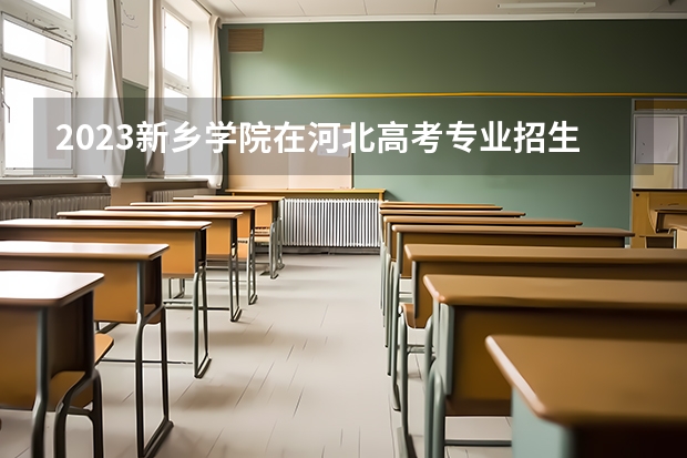 2023新乡学院在河北高考专业招生计划人数